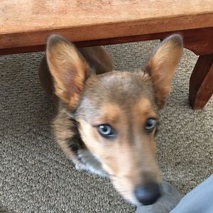 Meet your Posher, Elisabete aparecida